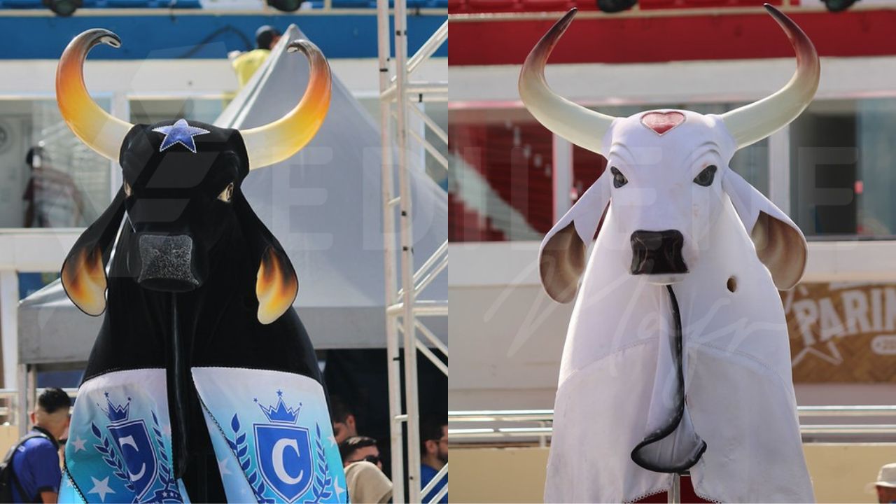 Foto: Gabi Vitim