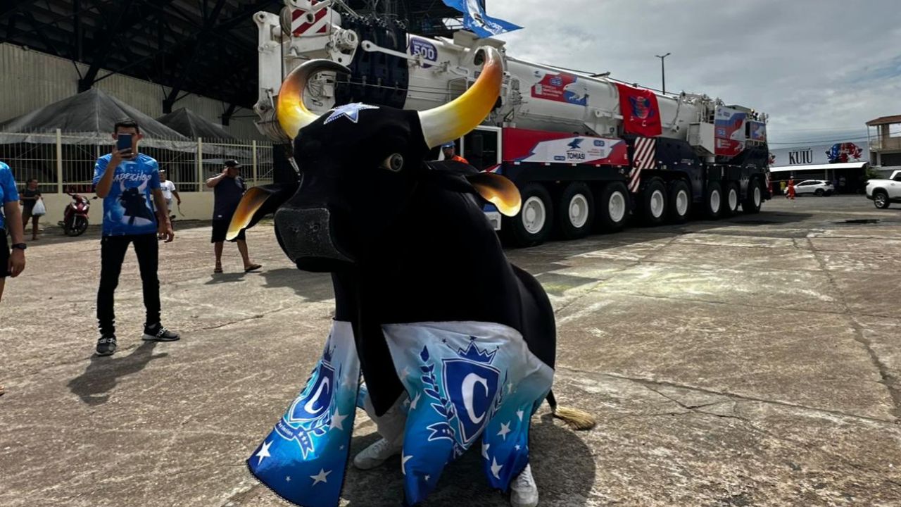 Foto: Divulgação