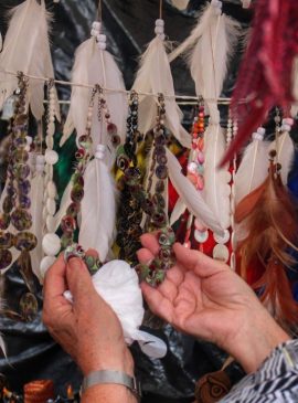 Foto: Divulgação/Amazonastur