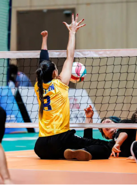 Foto: World Paravolley/Divulgação