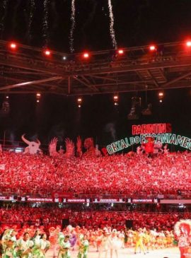 Foto: Divulgação / SEMA